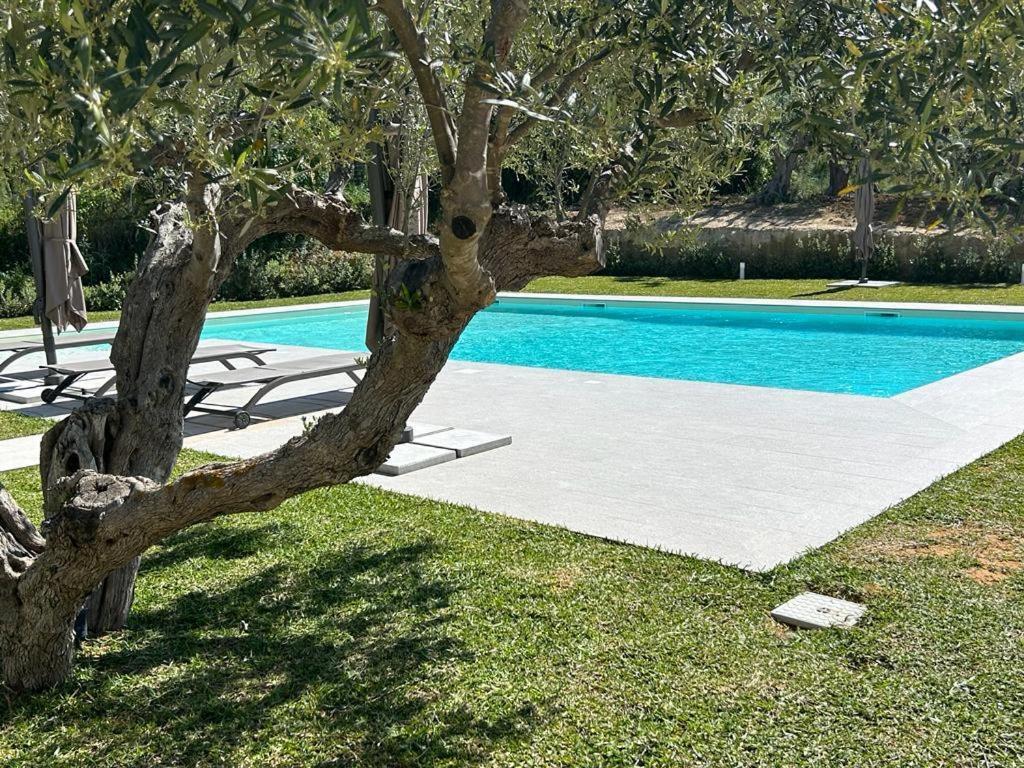 Civetta Blu Bed & Breakfast กัสเตลลัมมาเร เดล โกลโฟ ภายนอก รูปภาพ